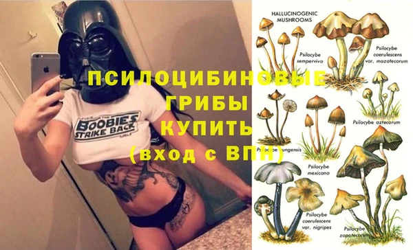 а пвп мука Алексеевка