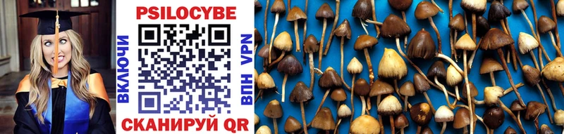 Псилоцибиновые грибы Psilocybe  Павловский Посад 