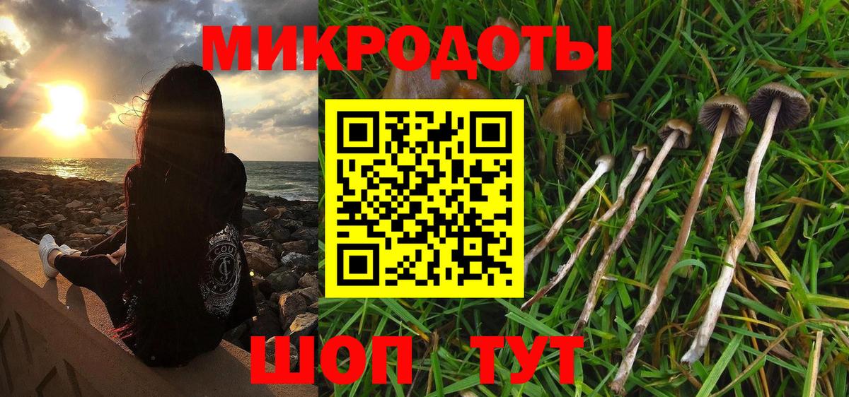 Псилоцибиновые грибы Psilocybine cubensis Павловский Посад
