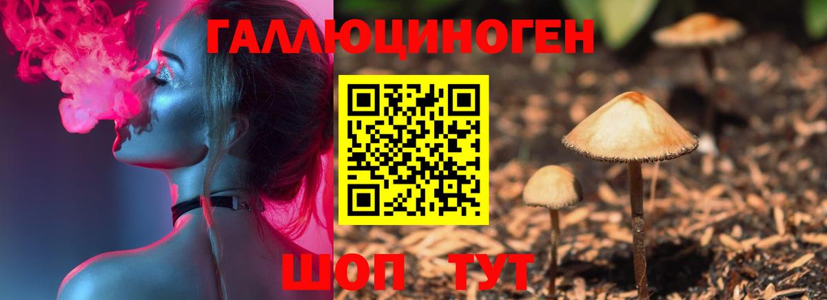 Псилоцибиновые грибы Psilocybine cubensis  Галлюциногенные грибы Magic Shrooms  Павловский Посад  Вход с VPN 